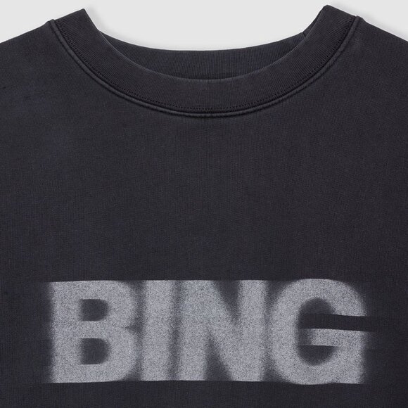 Anine Bing Miles Sweatshirt Blur - Picture 8 of 8